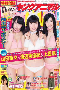 我与25岁美女老总