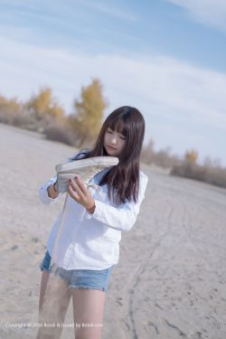 流年明媚相思谋